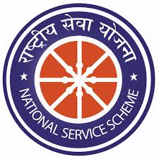 NSS Logo